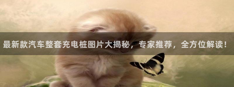 威廉希尔 1.44 4.75 5.00：最新款汽车整套充电桩图片大揭秘，专家推荐，全方位解读！