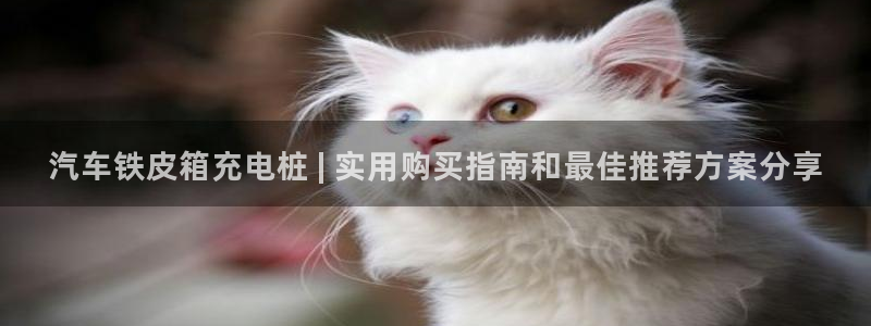 威廉希尔 1.44 3.70 7.50：汽车铁皮箱充电桩 | 实用购买指南和最佳推荐方案分享