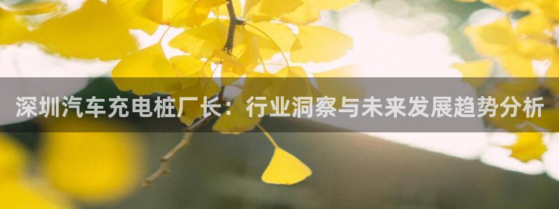 威廉希尔中国注册：深圳汽车充电桩厂长：行业洞察与未来发展趋势分析
