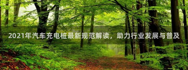 威廉篮球：2021年汽车充电桩最新规范解读，助力行业发展与普及