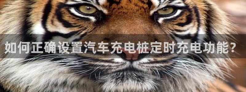 威廉希尔94体系标准盘：如何正确设置汽车充电桩定时充电功能？