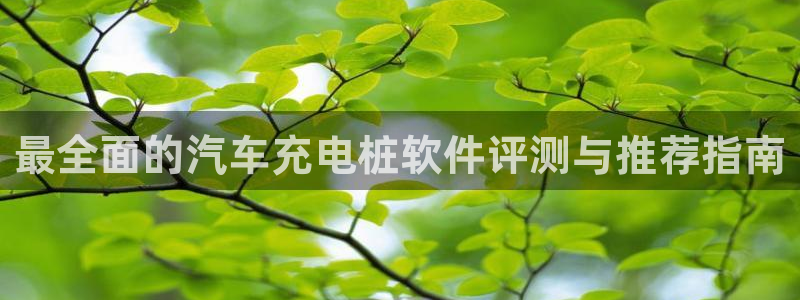 威廉希尔大小球初盘和即时盘：最全面的汽车充电桩软件评测与推荐指南