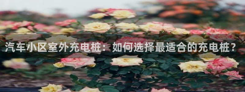 威廉希尔浏览器手机版：汽车小区室外充电桩：如何选择最适合的充电桩？