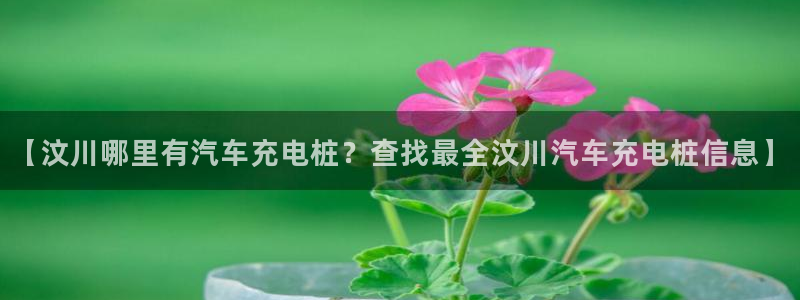 威廉体育官方app下载安卓：【汶川哪里有汽车充电桩？查找最全汶川汽车充电桩信息】
