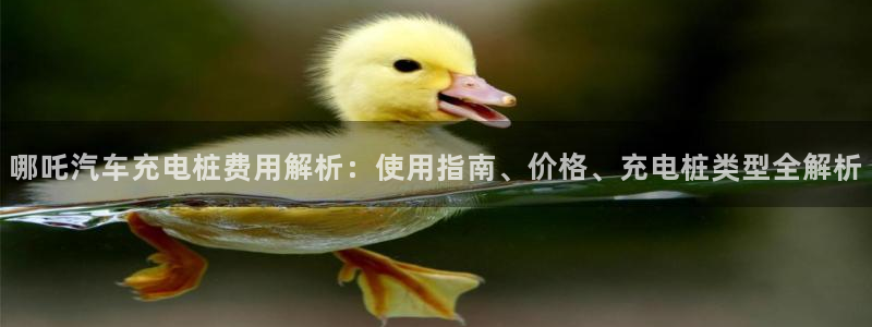 威廉客户端app下载安卓
