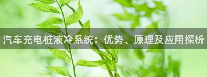 威廉希尔母公司：汽车充电桩液冷系统：优势、原理及应用探析