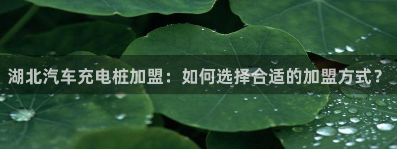 威廉希尔合法吗：湖北汽车充电桩加盟：如何选择合适的加盟方式？