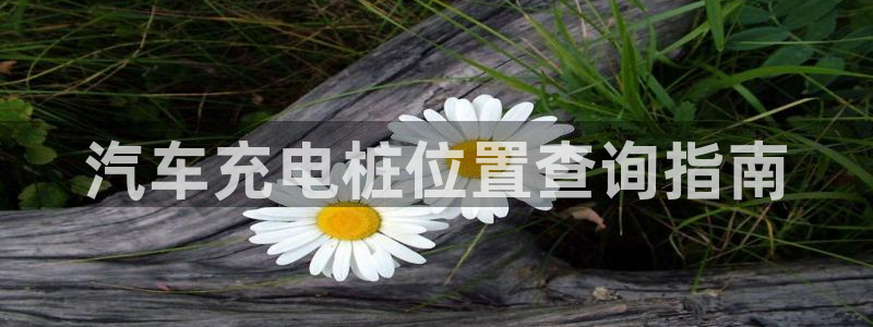 威廉希尔有限公司是国企吗：汽车充电桩位置查询指南