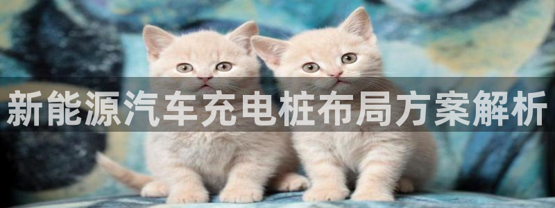 威廉体育官方app下载安装手机版：新能源汽车充电桩布局方案解析