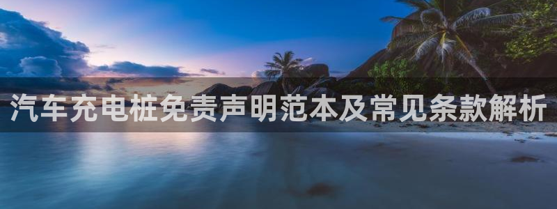 威廉希尔体育网：汽车充电桩免责声明范本及常见条款解析
