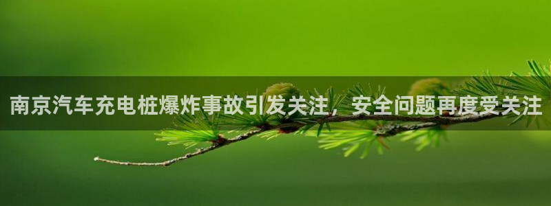 威廉国际学校