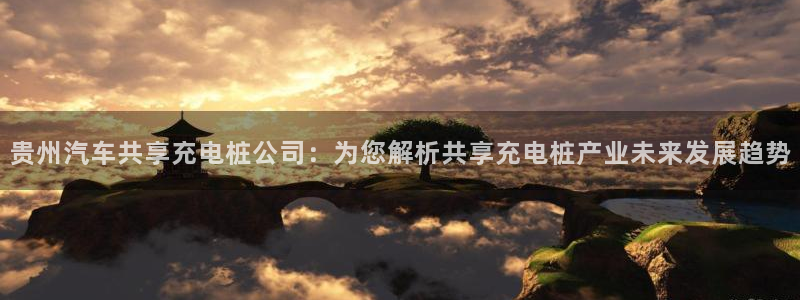 威廉tt：贵州汽车共享充电桩公司：为您解析共享充电桩产业未来发展趋势