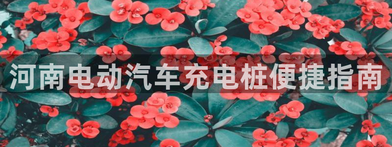威廉希尔香港公司：河南电动汽车充电桩便捷指南