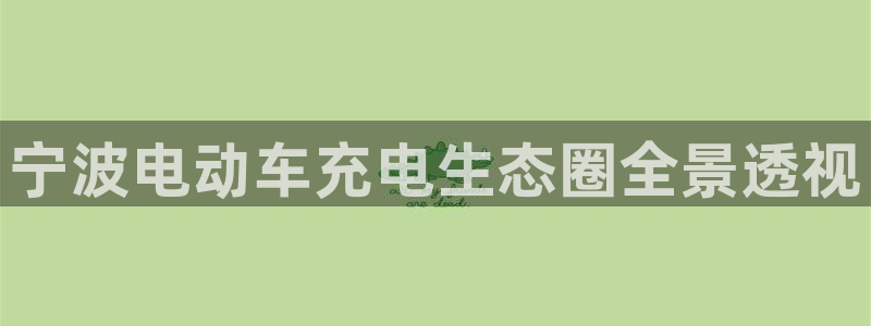 威廉希尔合法吗：宁波电动车充电生态圈全景透视