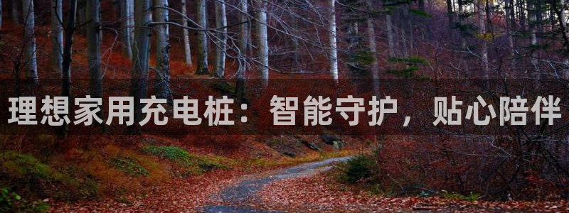 威廉希尔操盘手：理想家用充电桩：智能守护，贴心陪伴