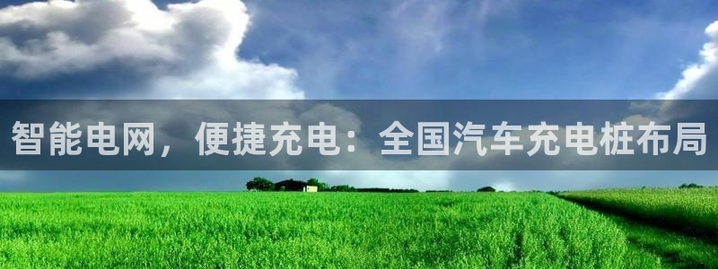 威廉希尔是什么：智能电网，便捷充电：全国汽车充电桩布局