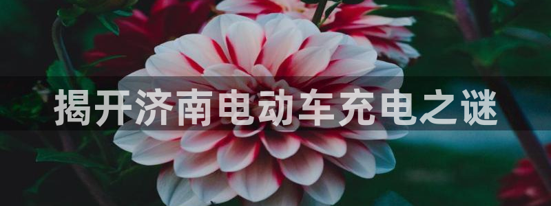 威廉希尔对比法