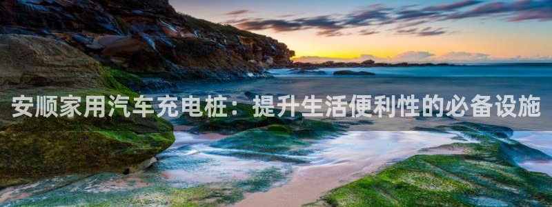 威廉国际注册：安顺家用汽车充电桩：提升生活便利性的必备设施