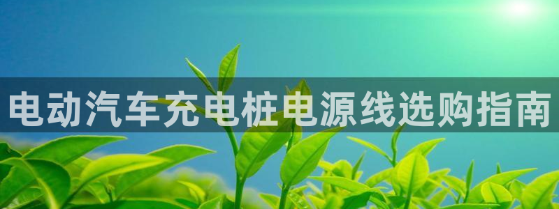 威廉希尔公司百度百科：电动汽车充电桩电源线选购指南