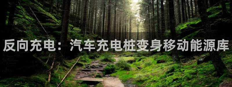 威廉希尔小球准不准：反向充电：汽车充电桩变身移动能源库
