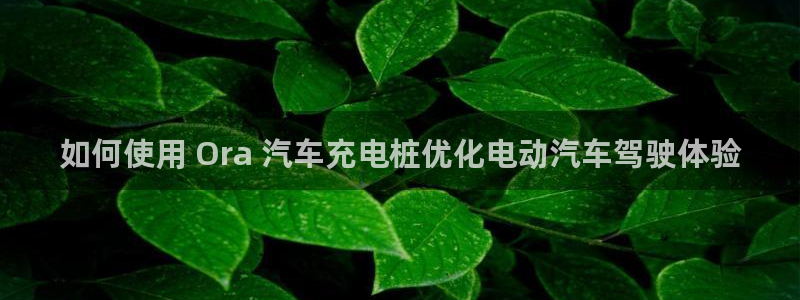 威廉希尔反波胆平台：如何使用 Ora 汽车充电桩优化电动汽车驾驶体验