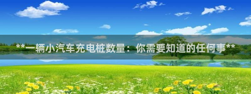 威廉nba：**一辆小汽车充电桩数量：你需要知道的任何事**