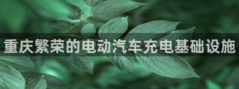 威廉希尔网站怎么换成中文：重庆繁荣的电动汽车充电基础设施