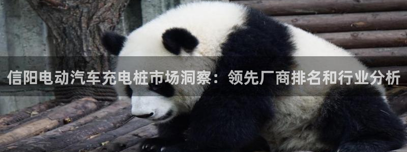 威廉体育官方app下载：信阳电动汽车充电桩市场洞察：领先厂商排名和行业分析