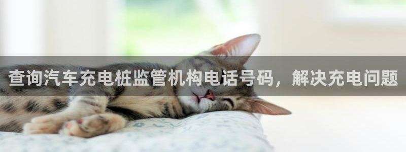 威廉希尔 1.62 3.75 4.50