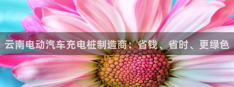 威廉希尔吧：云南电动汽车充电桩制造商：省钱、省时、更绿色