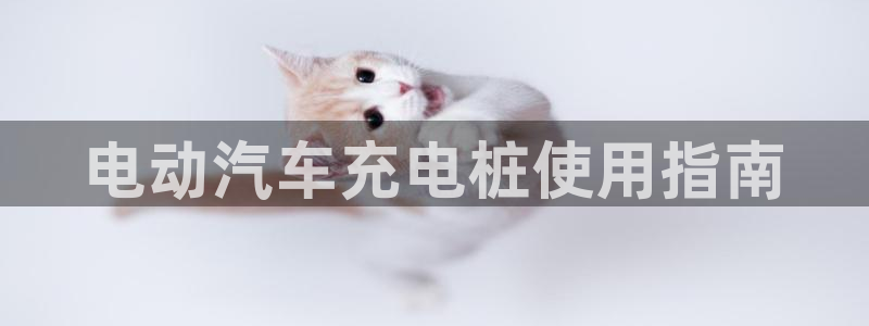 威廉希尔反波胆平台：电动汽车充电桩使用指南