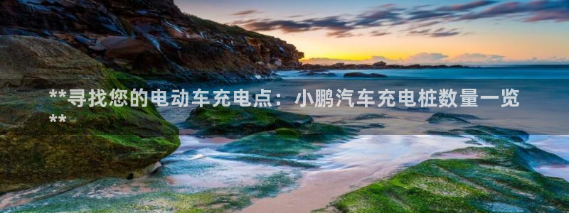 威廉希尔和立博开盘关系探讨：**寻找您的电动车充电点：小鹏汽车充电桩数量一览
**