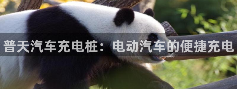 威廉篮球俱乐部：普天汽车充电桩：电动汽车的便捷充电