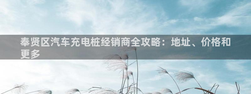 威廉希尔反波胆平台多久：奉贤区汽车充电桩经销商全攻略：地址、价格和
更多