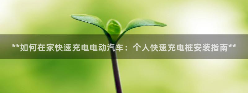 威廉希尔WilliamHill官方网站：**如何在家快速充电电动汽车：个人快速充电桩安装指南**