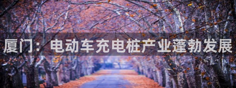 威廉国际是不是真的：厦门：电动车充电桩产业蓬勃发展