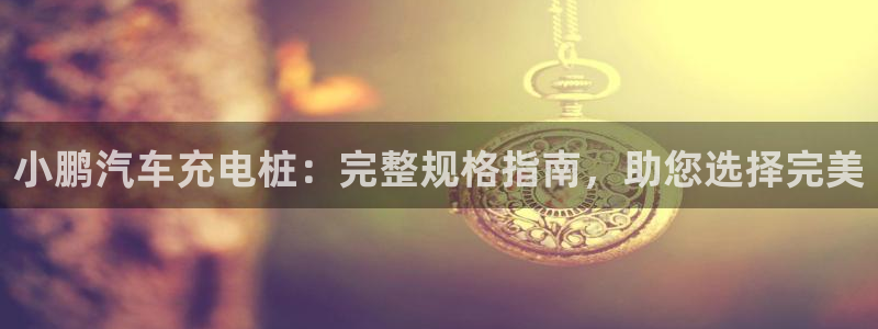 威廉娱乐圈是谁：小鹏汽车充电桩：完整规格指南，助您选择完美
