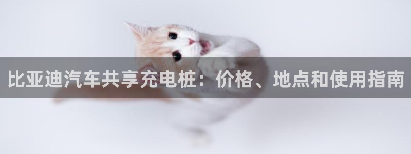 威廉希尔有限公司官网：比亚迪汽车共享充电桩：价格、地点和使用指南