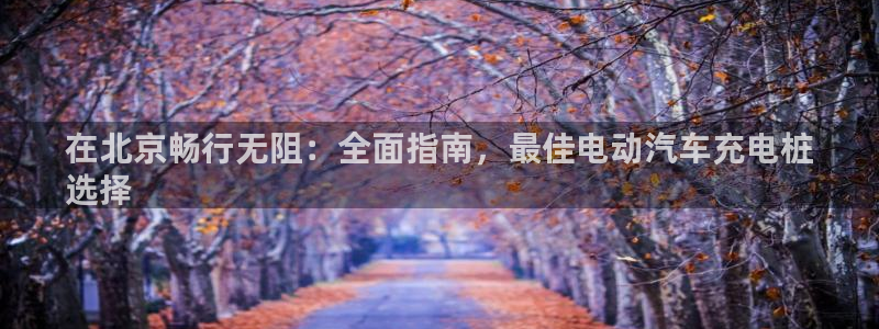 威廉国际app下载：在北京畅行无阻：全面指南，最佳电动汽车充电桩
选择