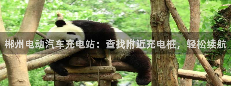 威廉指数100：郴州电动汽车充电站：查找附近充电桩，轻松续航