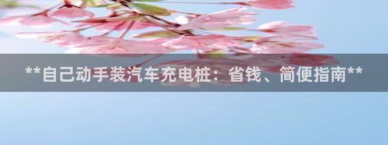 威廉希尔1.57体系：**自己动手装汽车充电桩：省钱、简便指南**