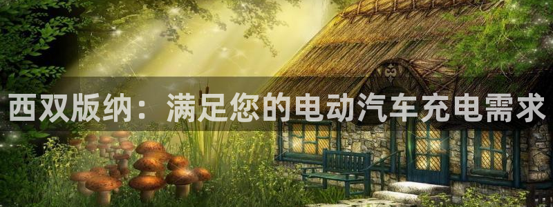 威廉国际app下载：西双版纳：满足您的电动汽车充电需求