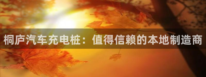 威廉希尔日职2.60是什么意思：桐庐汽车充电桩：值得信赖的本地制造商