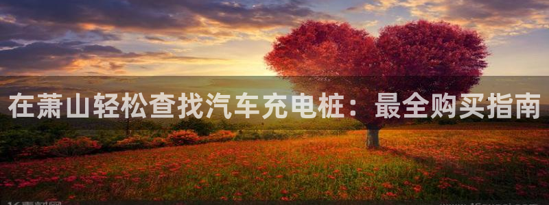 威廉希尔让我一周买一回：在萧山轻松查找汽车充电桩：最全购买指南
