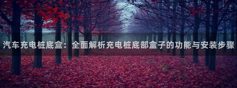 威廉希尔中国注册：汽车充电桩底盒：全面解析充电桩底部盒子的功能与安装步骤