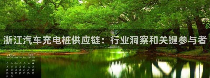 法乙威廉希尔初赔研究：浙江汽车充电桩供应链：行业洞察和关键参与者