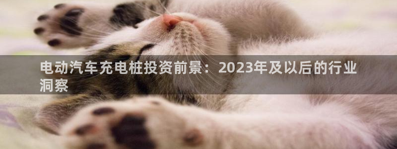 威廉国际不能提现：电动汽车充电桩投资前景：2023年及以后的行业
洞察