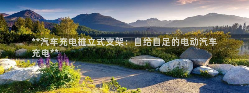 欧洲威廉希尔公司图片：**汽车充电桩立式支架：自给自足的电动汽车
充电**