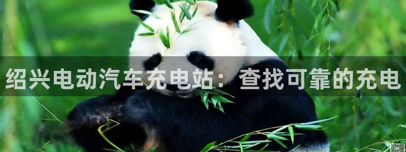 威廉希尔提现快吗：绍兴电动汽车充电站：查找可靠的充电