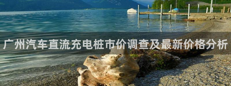 威廉希尔对比哪家公司：广州汽车直流充电桩市价调查及最新价格分析